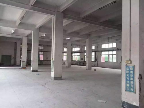 菏澤專業(yè)廠房驗(yàn)廠檢測(cè)鑒定報(bào)告與電腦圖文設(shè)計(jì)服務(wù)